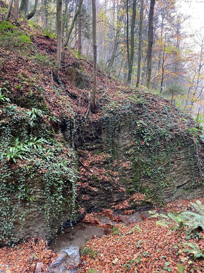 Gaestehaus Schmid Lejlighed Sankt Johann im Saggautal Eksteriør billede