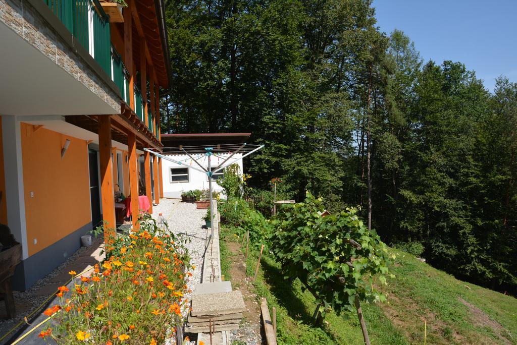 Gaestehaus Schmid Lejlighed Sankt Johann im Saggautal Eksteriør billede