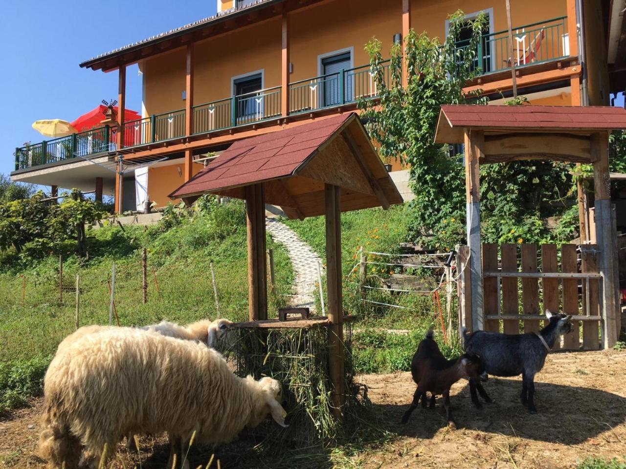 Gaestehaus Schmid Sankt Johann im Saggautal Eksteriør billede
